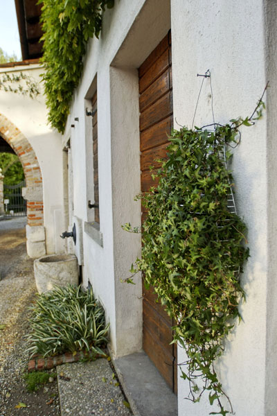 sistema_componibile_parete_verde_green_wall_design_wireframe_filo_ferro_saldato_vertical_garden_giardino_verticale04
